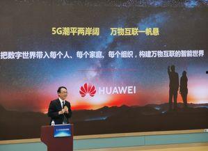 日韩企业峰会视频播放器,视频播放器带你领略合作新篇章