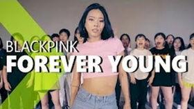 日韩老师介绍视频