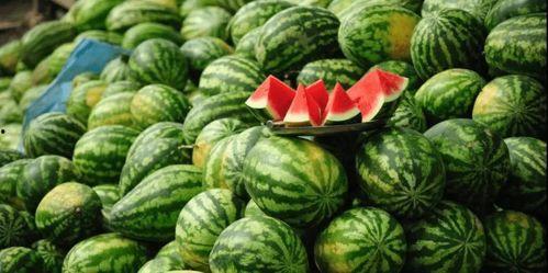 罗马假日韩国版西瓜视频,穿越时空的浪漫邂逅，西瓜视频独家呈现